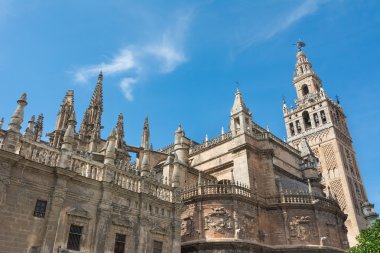 giralda Kulesi İspanya Sevilla Katedrali