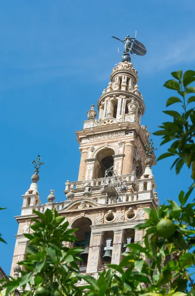 Věž Giralda v seville katedrála — Stock fotografie