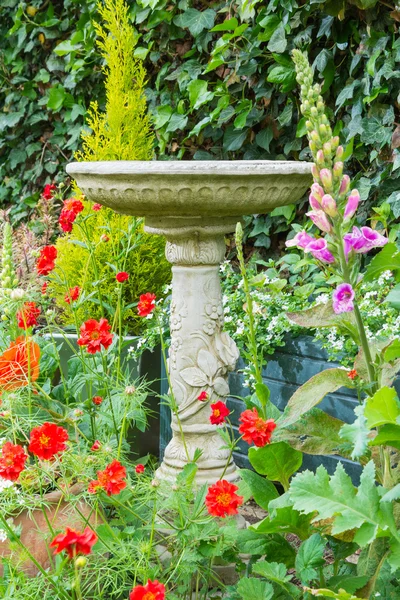 Summer bedding flowers with decorative stone bird bath — Stock Photo, Image