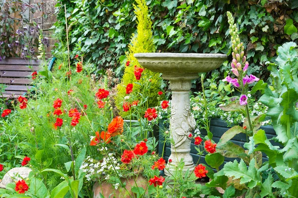 Летние цветы с декоративной каменной птичьей ванной — стоковое фото