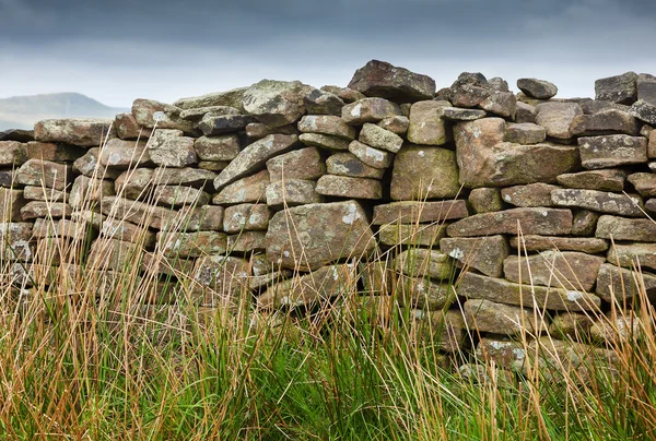 Muro di pietra a secco sulla brughiera — Foto Stock