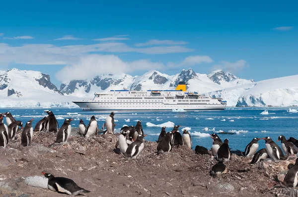 Antarctica penguins en cruiseschip — Stockfoto