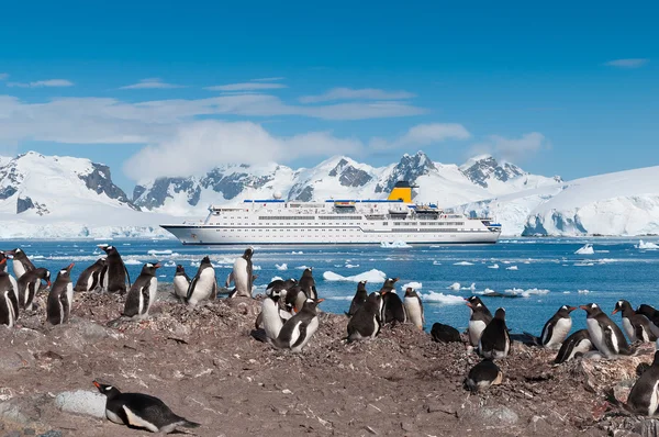Antarktyda pingwiny i statek wycieczkowy — Zdjęcie stockowe