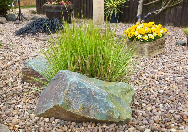 Ornamental grass set in rockery — Stock Photo, Image