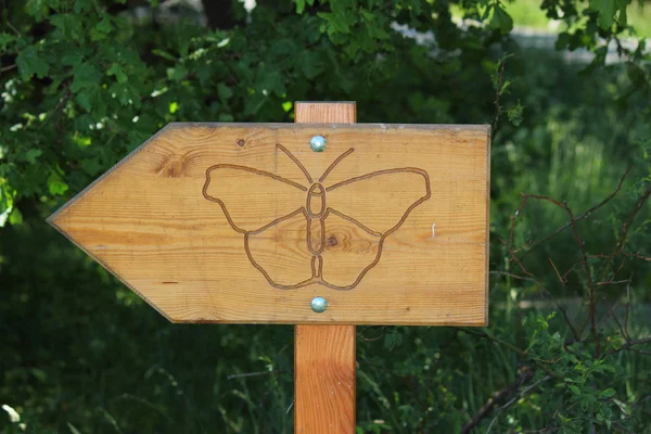 Ein Schmetterling — Stockfoto