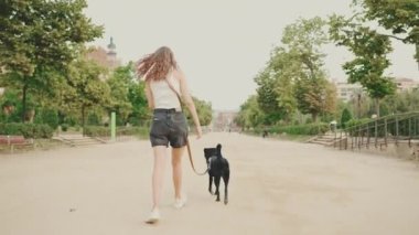 Kız köpekle parkta yol boyunca yürür. Arka plan