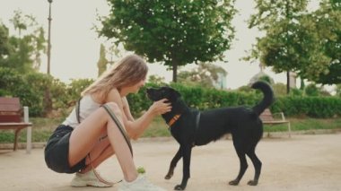 Dişinde top olan mutlu siyah köpek kıza doğru koşuyor. Köpek oyunları yazın dışarıda topun peşinden koşar. Kız parkta evcil hayvanıyla yürüyor ve oynuyor. Kız evcil hayvanını okşuyor ve öpüyor