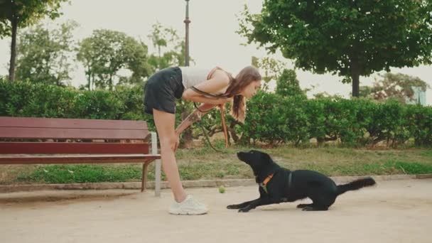 微笑的女孩在公园里与她的宠物散步和玩耍 训练他的狗女孩爱抚和亲吻她的宠物 — 图库视频影像