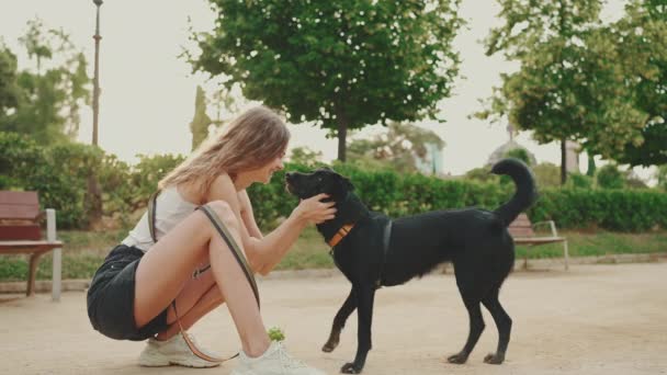 Happy Black Dog Ball His Teeth Runs Girl Dog Playing — Stock Video