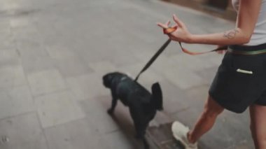 Gri asfalt kaldırım levhaları boyunca siyah köpeğiyle yürüyen bir kız. Sadece yürüyen kızın bacakları.