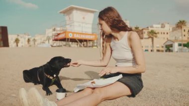 Uzun koyu sarı dalgalı saçlı tatlı bir kız kumsalda kumsalda oturuyor ve modern şehir arka planına sahip. Köpeği besleyen kız.