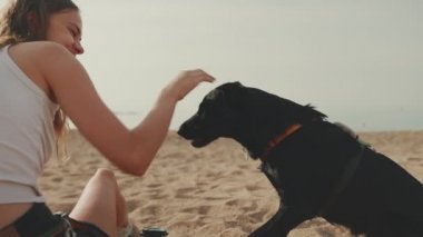 Uzun koyu sarı dalgalı saçlı tatlı bir kız kumsalda kumsalda oturuyor ve modern şehir arka planına sahip. Köpeği besleyen kız.