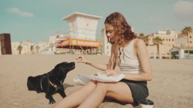 Öğle yemeği vakti. Şirin kız kumsalda evcil hayvanlı sandviçiyle oturuyor. Kız köpeğine sandviçle davranıyor. Modern şehir arka planında sahilde öğle yemeği.