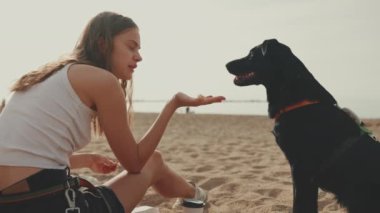 Uzun koyu sarı dalgalı saçlı tatlı bir kız kumsalda kumsalda oturuyor siyah köpek deniz manzaralı. Köpeği besleyen kız.
