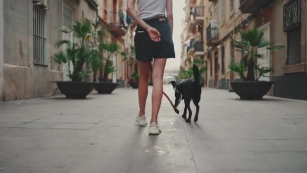 Lány Keskeny Utcán Sétál Óvárosban Fekete Kutyájával Visszamenőleges Nézet — Stock videók