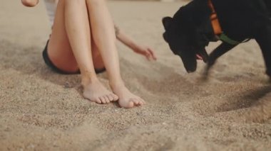 Kız siyah köpekle kumda oturuyor. Köpek kum kazıyor.