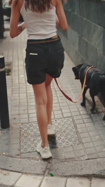 Vertical Video 女孩和她的宠物走在城市街道上 背景色 — 图库视频影像