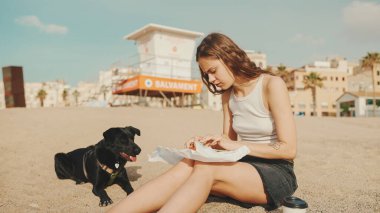 Öğle yemeği vakti. Şirin kız kumsalda evcil hayvanlı sandviçiyle oturuyor. Kız köpeğine sandviçle davranıyor. Modern şehir arka planında sahilde öğle yemeği.
