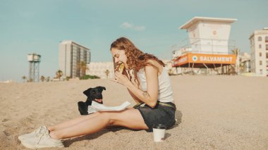 Öğle yemeği vakti. Şirin kız kumsalda evcil hayvanlı sandviçiyle oturuyor. Kız köpeğine sandviçle davranıyor. Modern şehir arka planında sahilde öğle yemeği.
