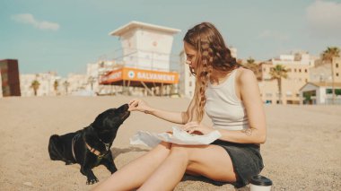 Öğle yemeği vakti. Şirin kız kumsalda evcil hayvanlı sandviçiyle oturuyor. Kız köpeğine sandviçle davranıyor. Modern şehir arka planında sahilde öğle yemeği.