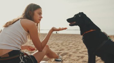 Beyaz bluzlu uzun dalgalı saçlı tatlı kız, çakıl taşı plajında siyah köpek deniz manzaralı oynuyor.