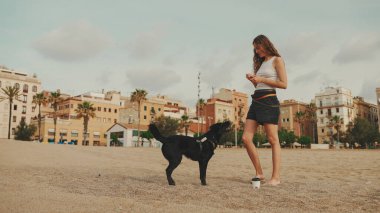 Öğle yemeği vakti. Şirin kız kumsalda evcil hayvanlı sandviçiyle oturuyor. Kız köpeğine sandviçle davranıyor. Modern şehir arka planında sahilde öğle yemeği.