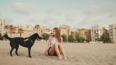 Öğle yemeği vakti. Şirin kız kumsalda evcil hayvanlı sandviçiyle oturuyor. Kız köpeğine sandviçle davranıyor. Modern şehir arka planında sahilde öğle yemeği.