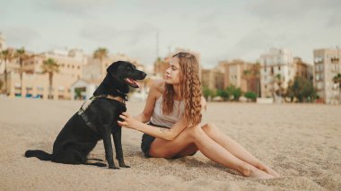 Öğle yemeği vakti. Şirin kız kumsalda evcil hayvanlı sandviçiyle oturuyor. Kız köpeğine sandviçle davranıyor. Modern şehir arka planında sahilde öğle yemeği.