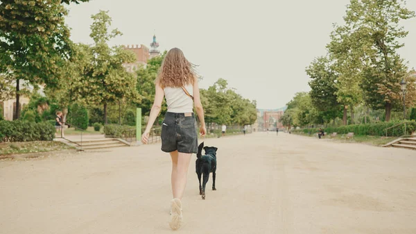 Menina Caminha Longo Caminho Parque Com Cão Volta — Fotografia de Stock