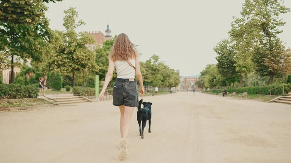 Kız arka köpekle parkta yürüyor..