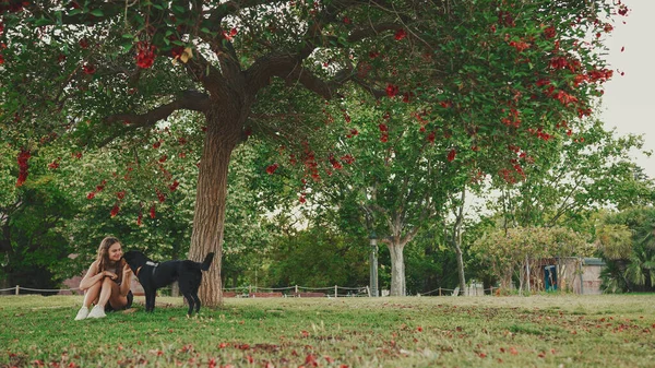 Menina Bonito Com Cão Preto Está Descansando Sob Árvore Gramado — Fotografia de Stock