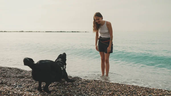 可愛いです女の子とともに長いです波状毛でホワイトトップ演劇オン小石ビーチとともに黒犬の海景の背景 — ストック写真