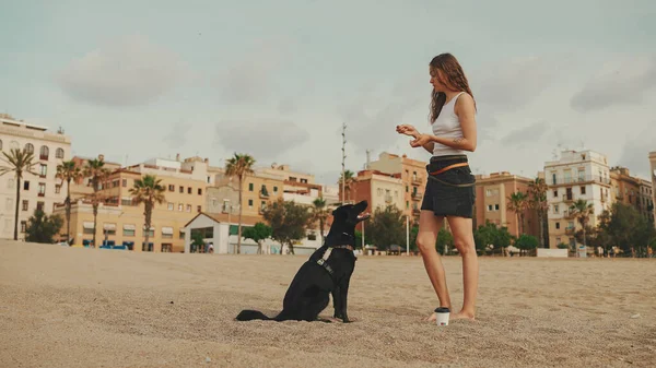 Hora Almoço Menina Bonito Está Sentado Areia Praia Com Seu — Fotografia de Stock