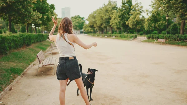 Menina Caminha Longo Caminho Parque Com Cão Volta — Fotografia de Stock