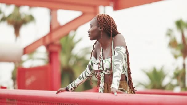 Prachtige Vrouw Met Afrikaanse Vlechten Top Standaards Brug — Stockvideo