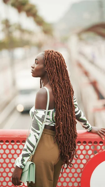 Gorgeous Woman African Braids Wearing Top Stands Bridge — ストック写真