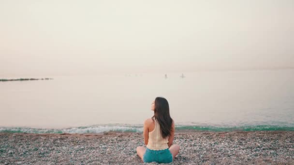 Beautiful Brown Haired Woman Long Hair Sits Beach Seascape Background — Vídeo de Stock