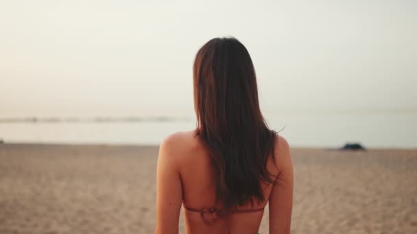 Beautiful Brown Haired Woman Long Hair Looks Sea Back View — Vídeo de Stock