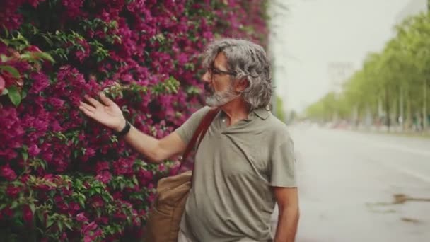 Amical Homme Âge Moyen Avec Des Cheveux Gris Barbe Portant — Video