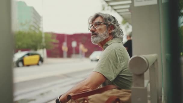 Friendly Middle Aged Man Gray Hair Beard Wearing Casual Clothes — Wideo stockowe