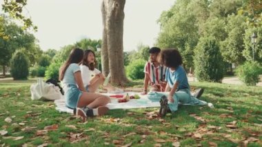 Happy smiling young multinational people at picnic on summer day outdoors. Four friends talking while spending the weekend together, relaxing in the park at picnic. Camera moving forwards