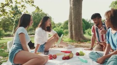 Happy smiling young multinational people at picnic on summer day outdoors. Group friends talking while spending the weekend together, relaxing in the park at picnic. Camera moves sideway to the right