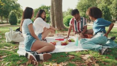 Happy smiling young multinational people at picnic on summer day outdoors. Four friends talking while spending the weekend together, relaxing in the park at picnic