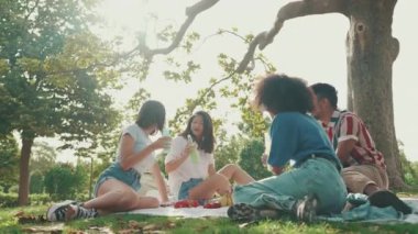 Happy, smiling multiethnic young people at picnic on summer day outdoors. Group of friends having fun with drinks spending the weekend together relaxing in the park at picnic. Backlight