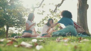 Mutlu, çoklu etnik çeşitlilikte gülümseyen gençler yaz günü açık havada piknik yapıyorlar. Bir grup arkadaş içkiyle eğleniyor hafta sonunu birlikte piknikte dinlenerek geçiriyorlar. Arkaplan