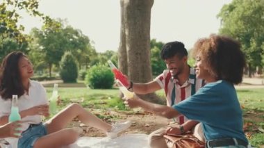 Happy, smiling multiethnic young people at picnic on summer day outdoors. Group of friends having fun with drinks spending the weekend together relaxing in the park at picnic