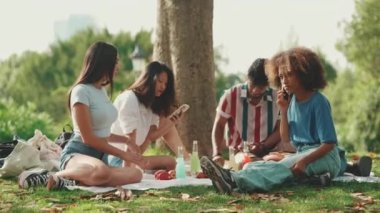 Happy, smiling multiethnic young people at picnic on summer day outdoors. Group of friends having fun with drinks, using cellphone while relaxing in the park at picnic