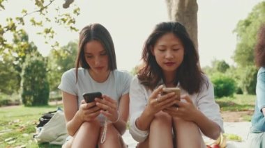 Young multi ethnic women browsing videos, photos, social networks on the phone at picnic on summer day outdoors