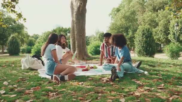 Happy Smiling Young Multinational People Picnic Summer Day Outdoors Four — Vídeo de Stock