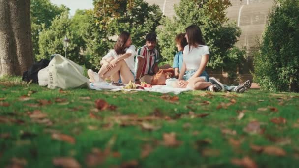 Vrolijk Lachende Jonge Multinationale Mensen Tijdens Picknick Zomerse Dag Buiten — Stockvideo